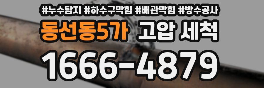 동선동5가 고압 세척