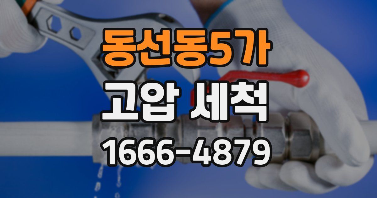 동선동5가 고압 세척