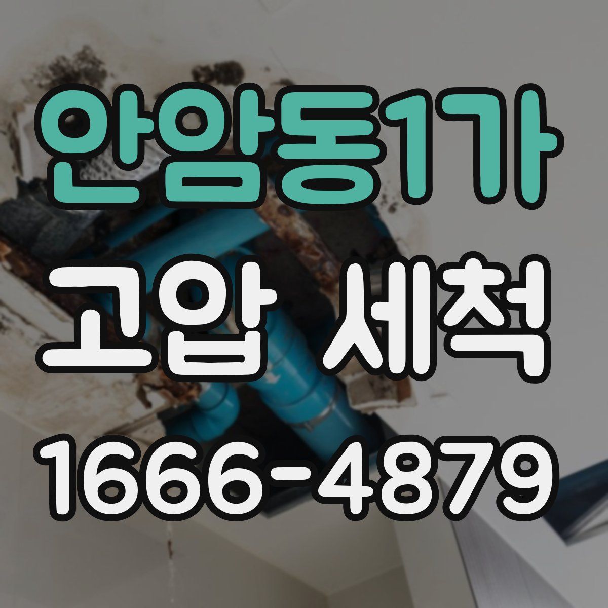 안암동1가 고압 세척