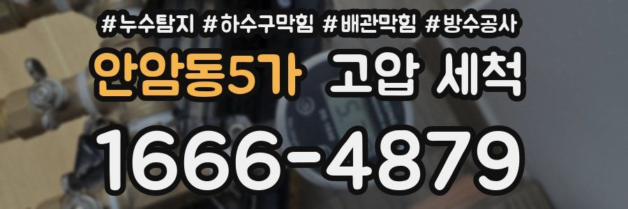 안암동5가 고압 세척