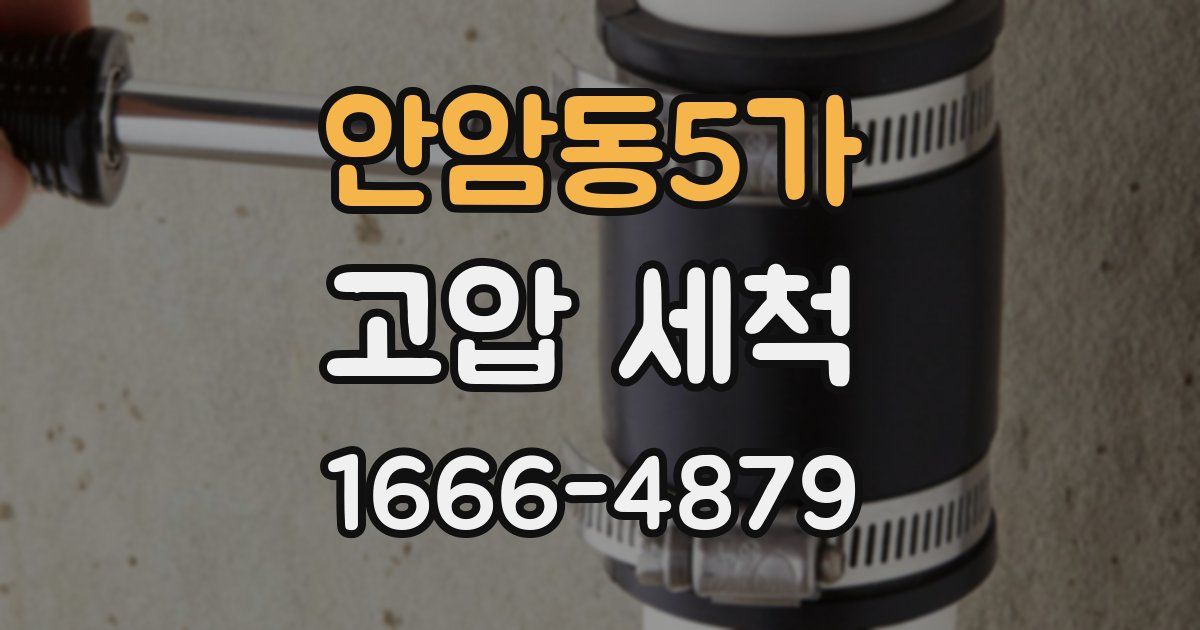 안암동5가 고압 세척
