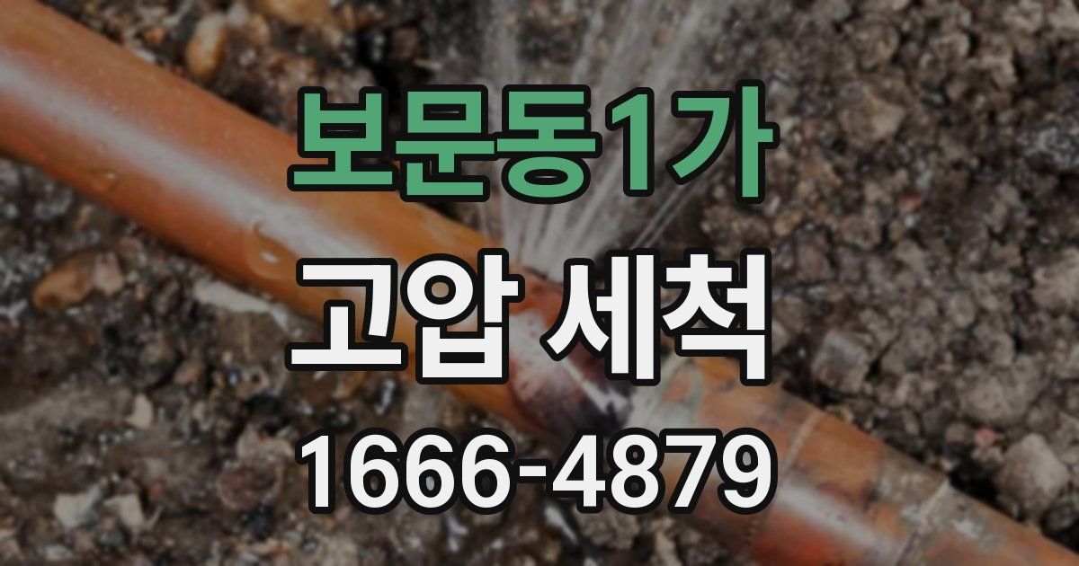 보문동1가 고압 세척