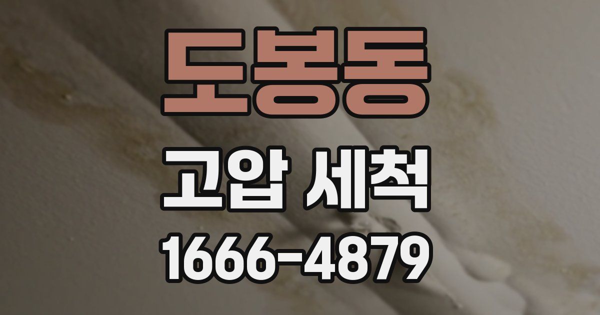 도봉동 고압 세척