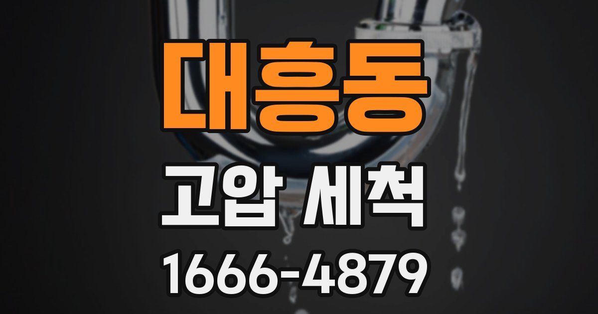 대흥동 고압 세척