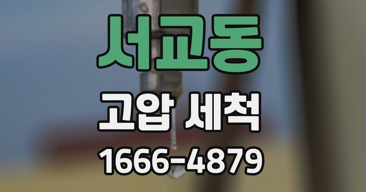 서교동 고압 세척