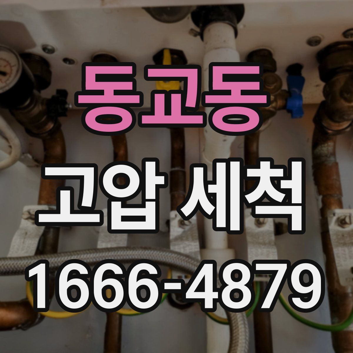 동교동 고압 세척