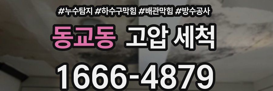 동교동 고압 세척