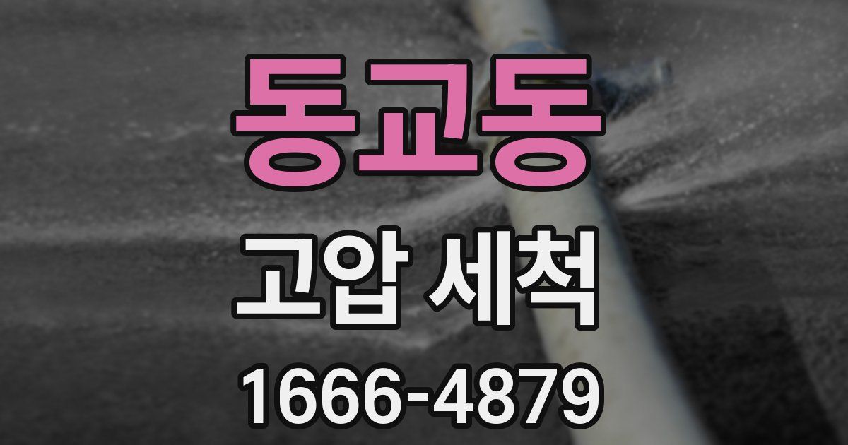 동교동 고압 세척