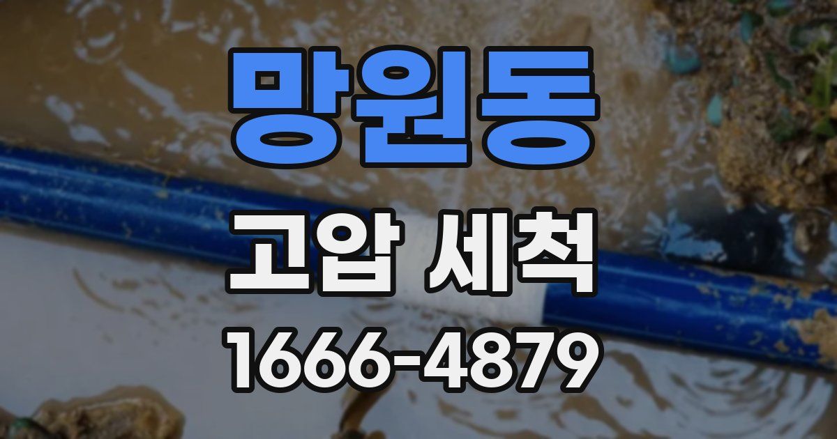 망원동 고압 세척
