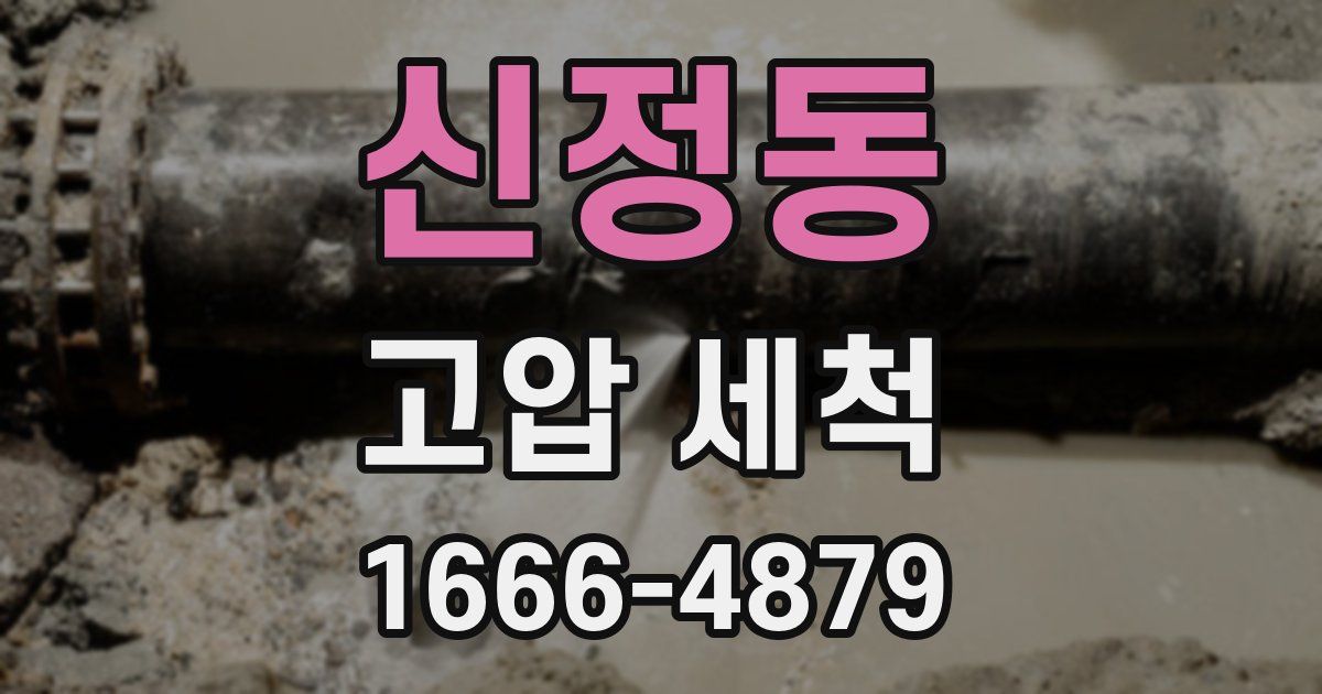 신정동 고압 세척