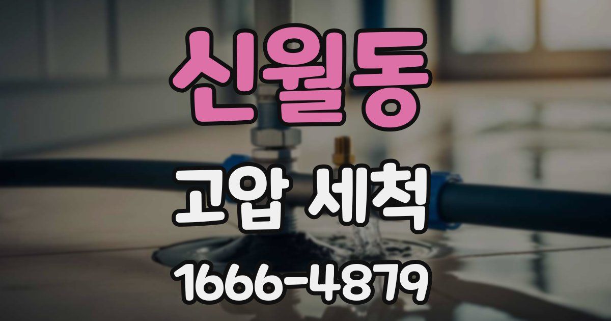 신월동 고압 세척