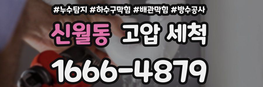 신월동 고압 세척
