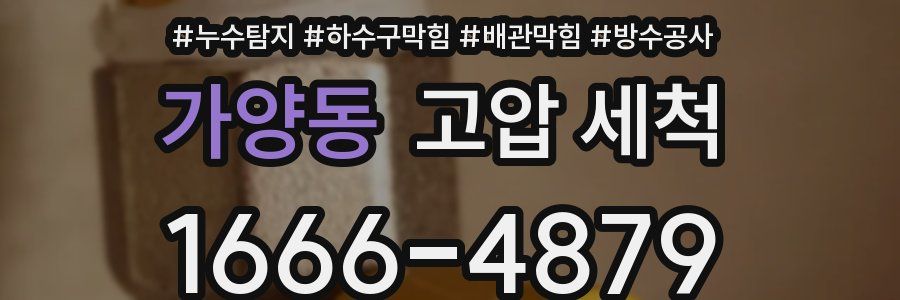 가양동 고압 세척