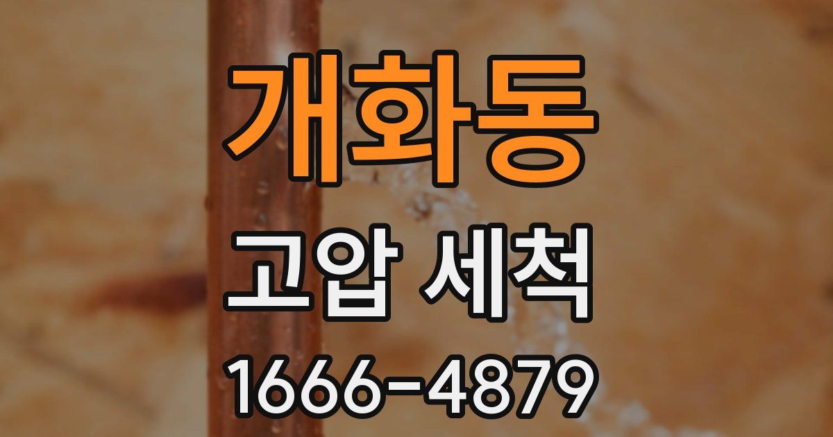 개화동 고압 세척