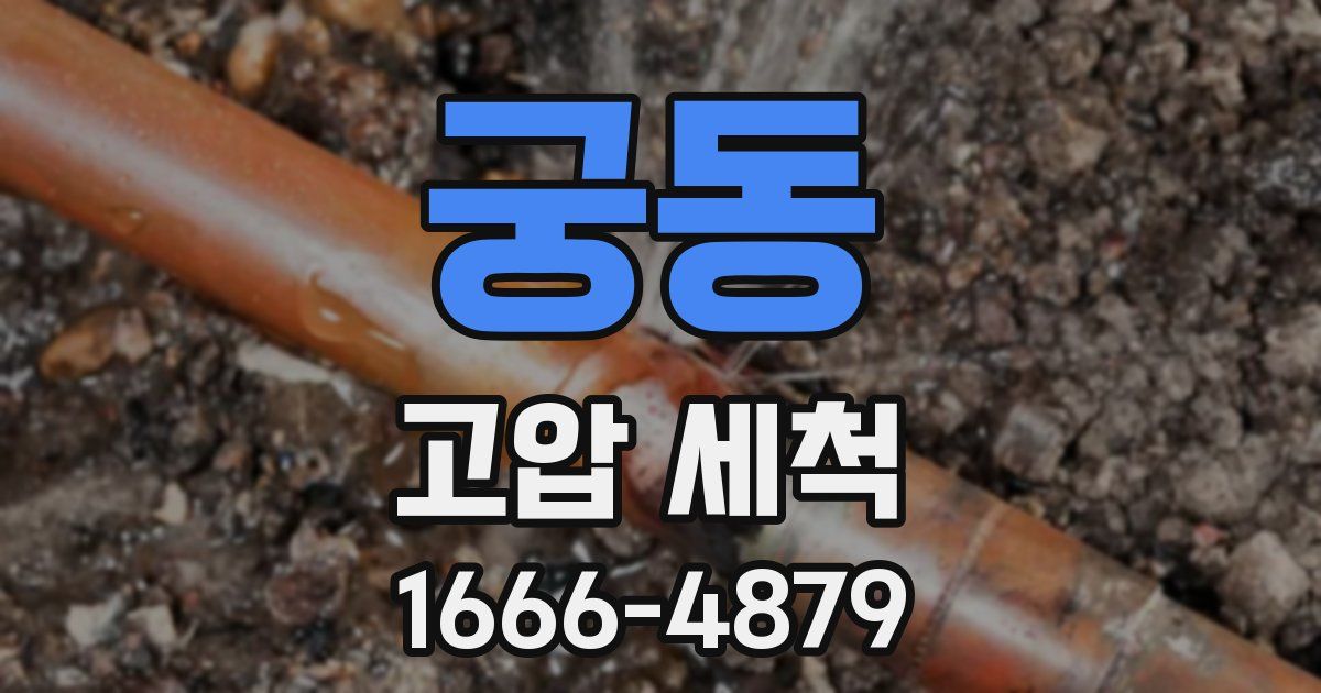 궁동 고압 세척