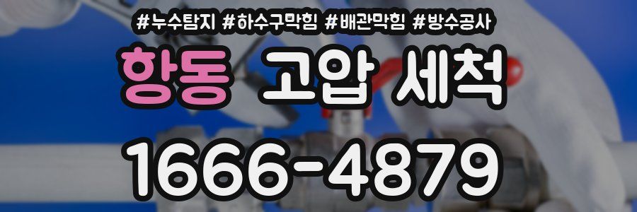 항동 고압 세척