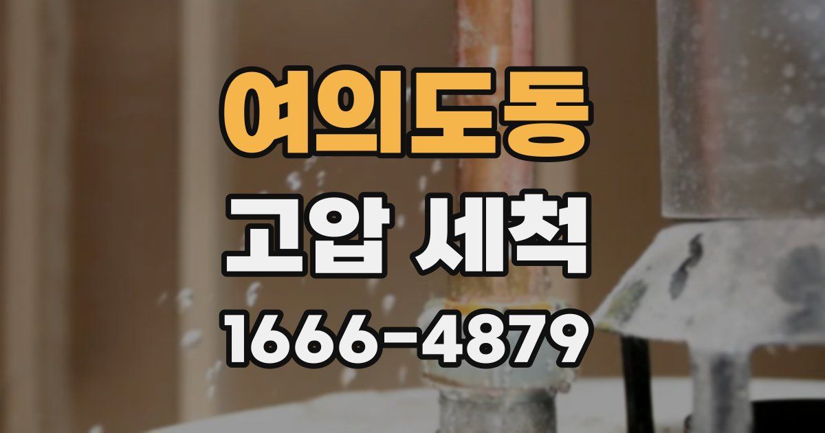 여의도동 고압 세척