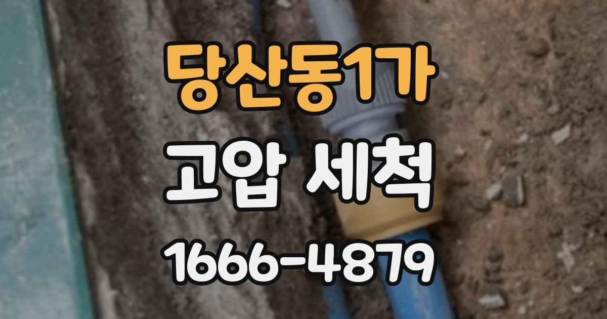 당산동1가 고압 세척