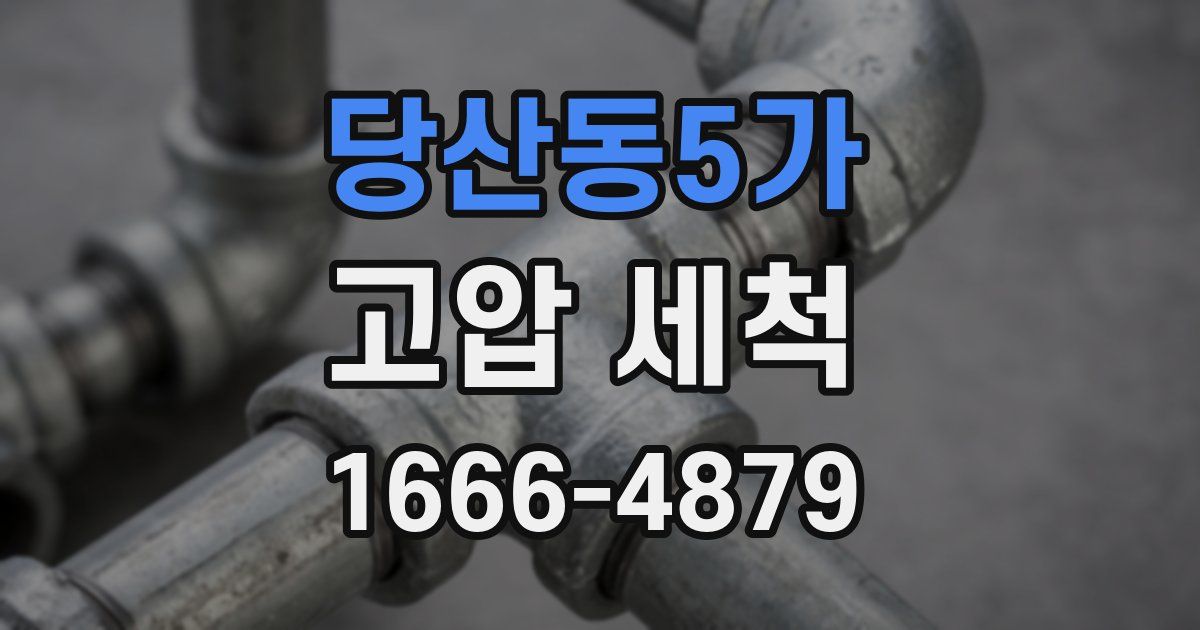 당산동5가 고압 세척