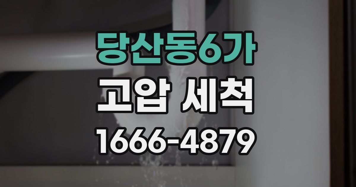 당산동6가 고압 세척