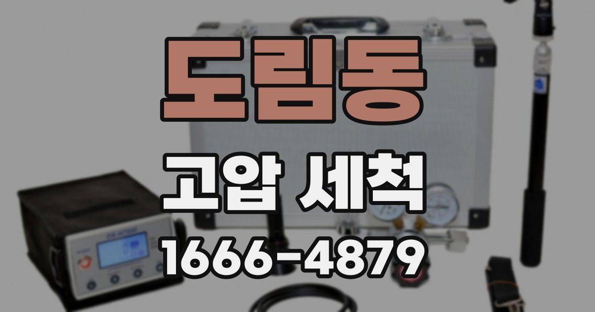 도림동 고압 세척