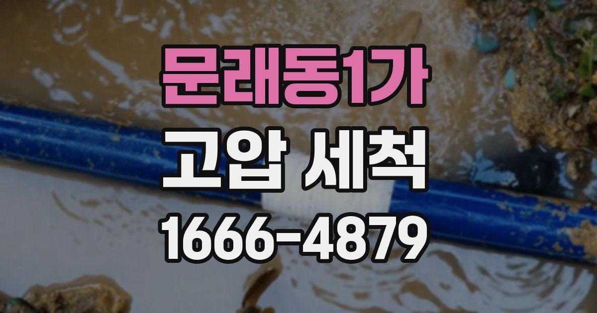 문래동1가 고압 세척