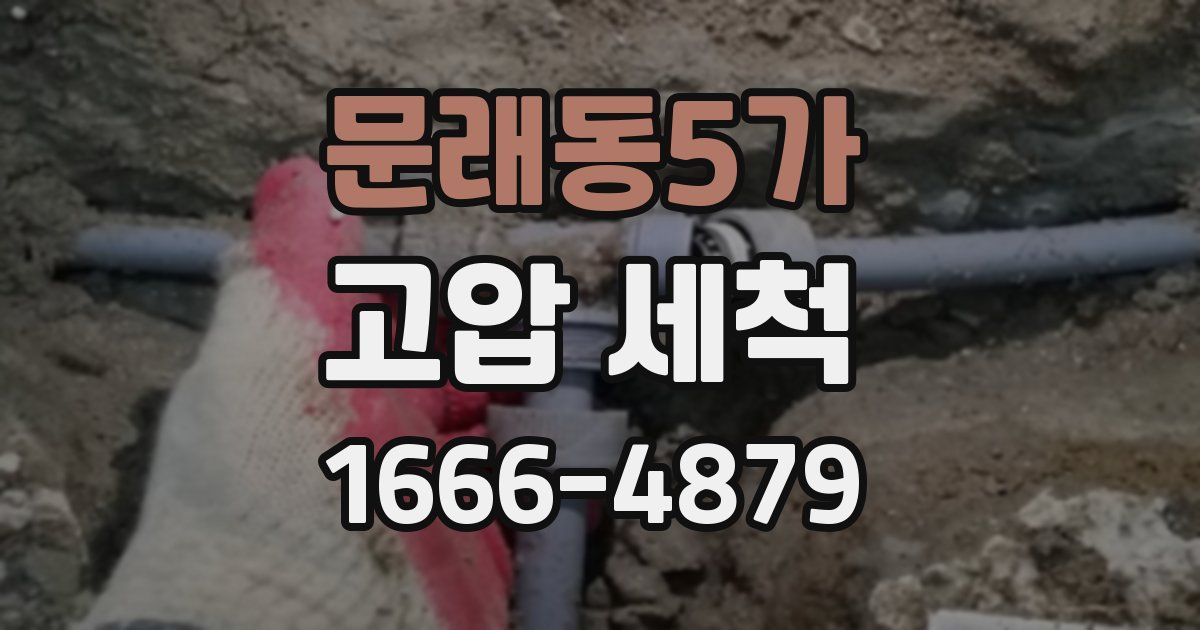 문래동5가 고압 세척