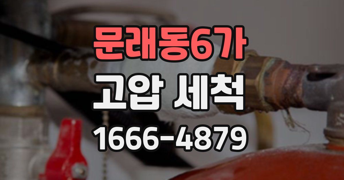 문래동6가 고압 세척