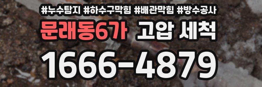 문래동6가 고압 세척