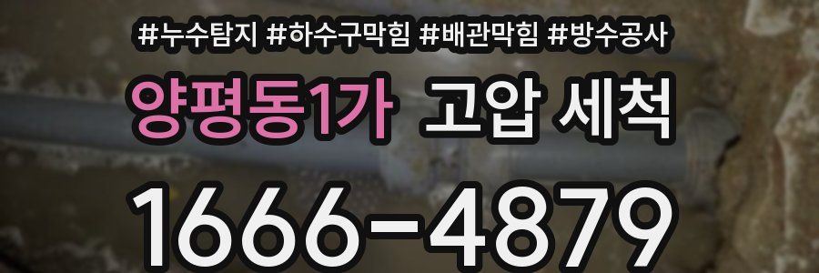 양평동1가 고압 세척