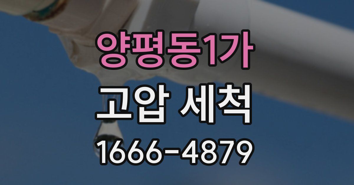 양평동1가 고압 세척