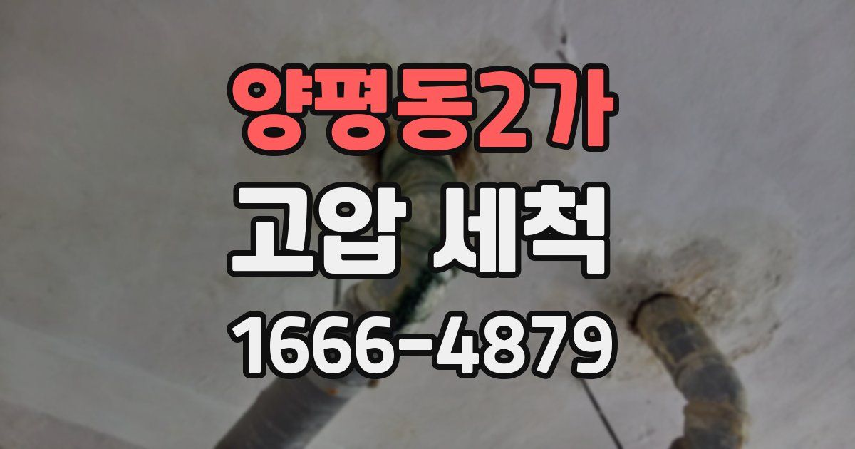 양평동2가 고압 세척