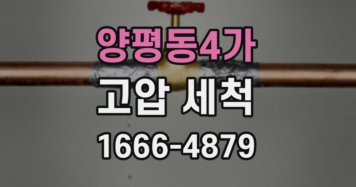 양평동4가 고압 세척