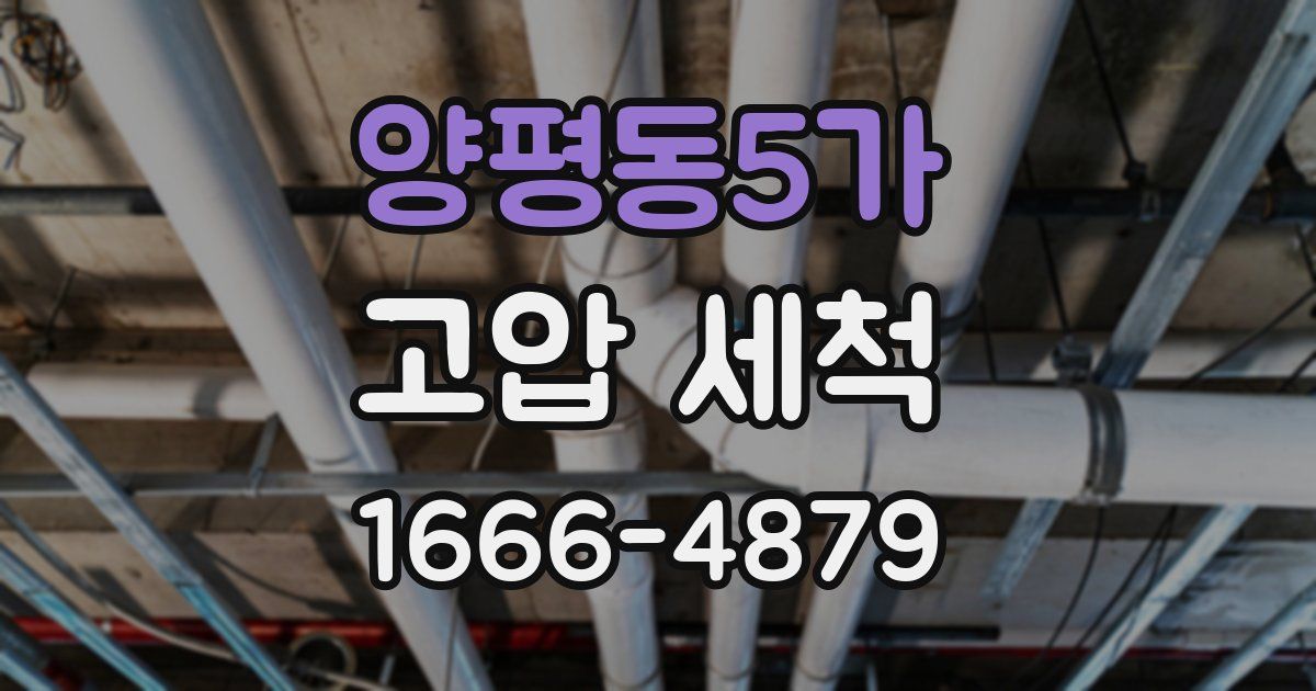 양평동5가 고압 세척