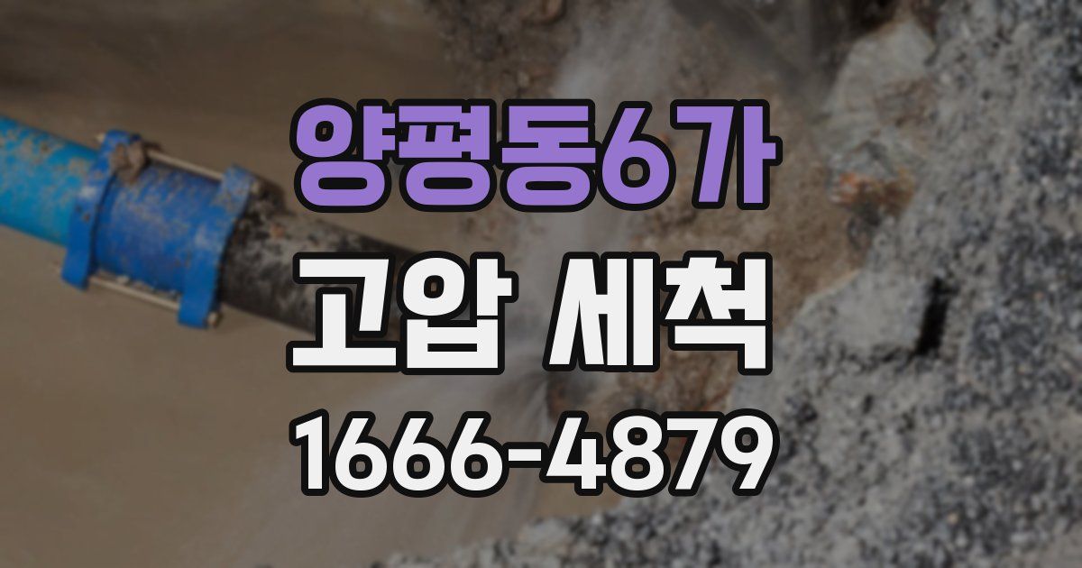 양평동6가 고압 세척