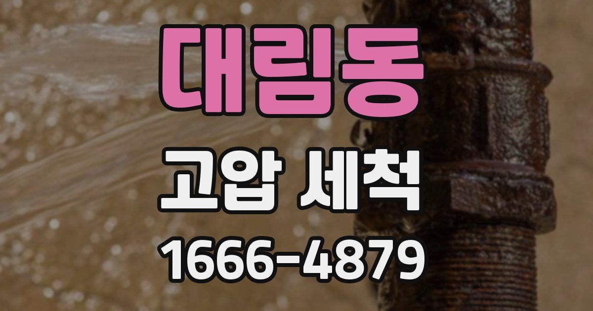 대림동 고압 세척