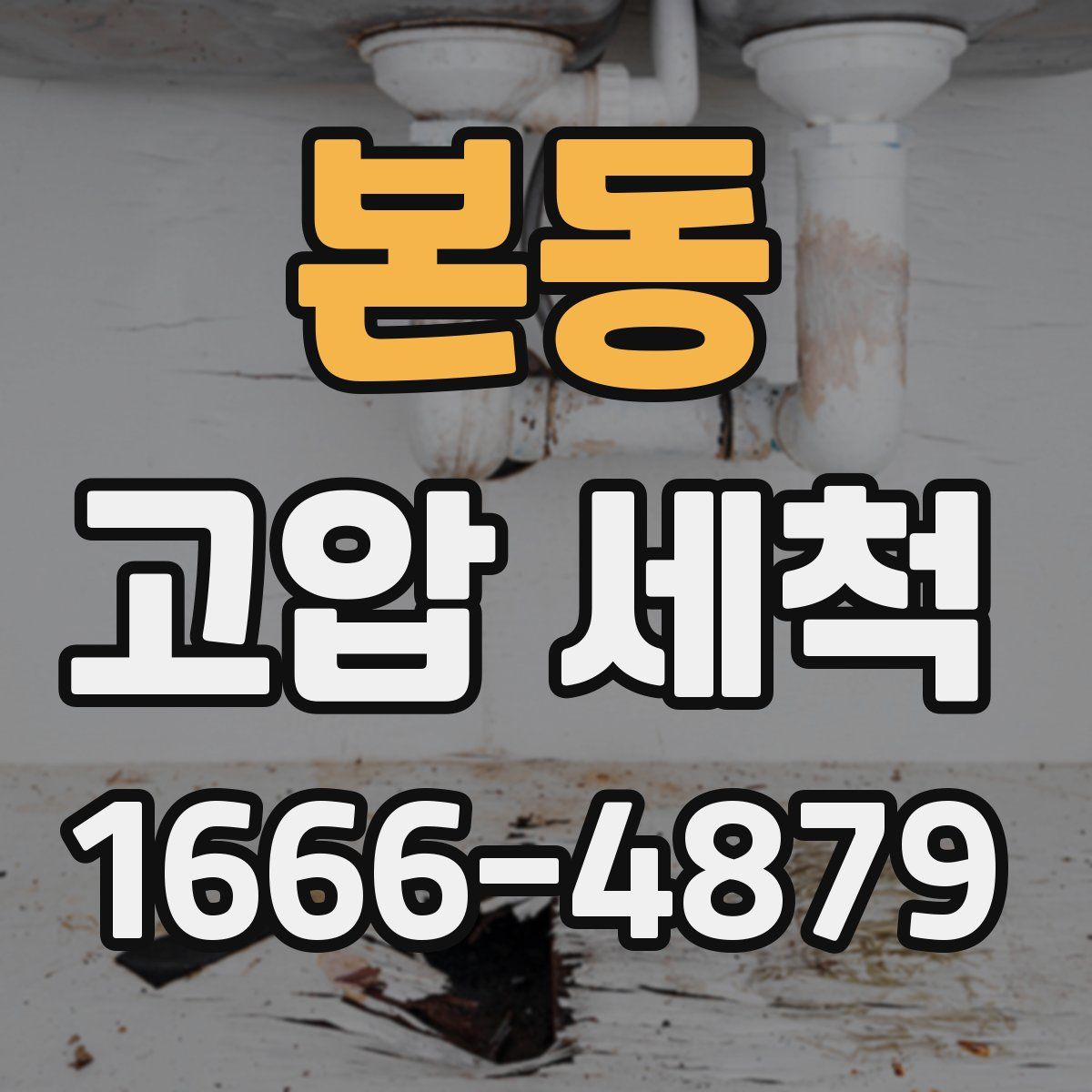 본동 고압 세척