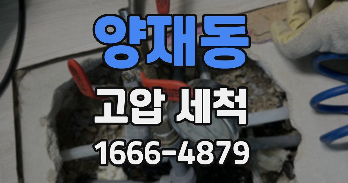 양재동 고압 세척