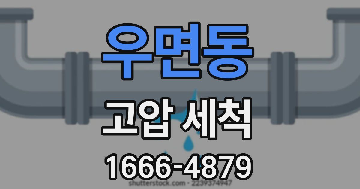 우면동 고압 세척