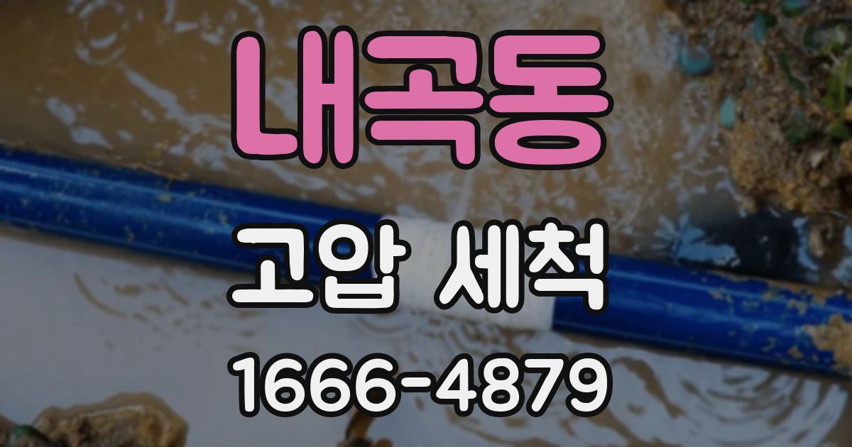 내곡동 고압 세척