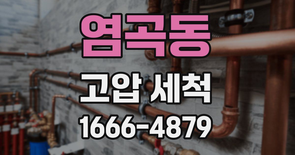 염곡동 고압 세척