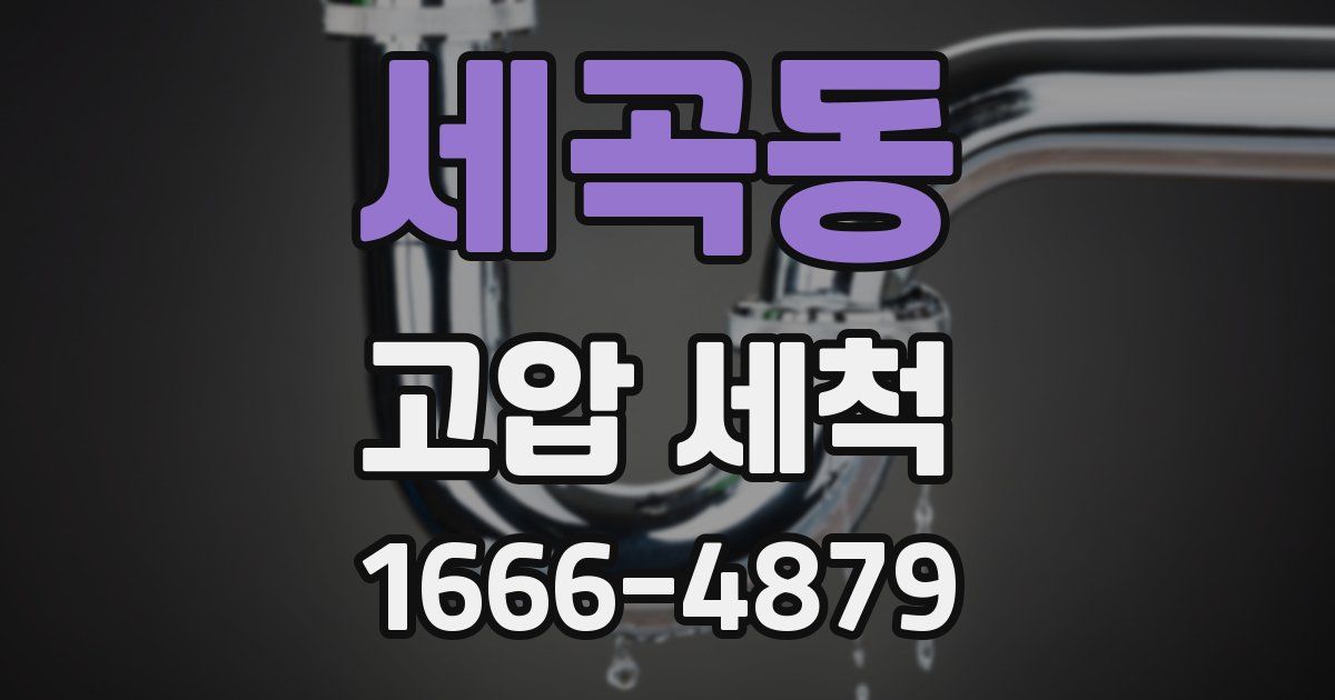 세곡동 고압 세척
