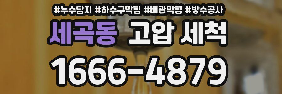 세곡동 고압 세척