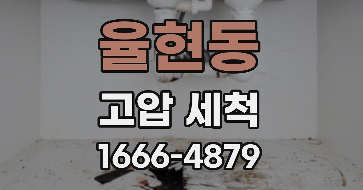 율현동 고압 세척