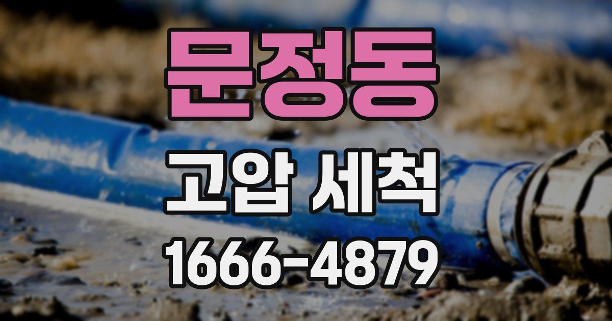문정동 고압 세척