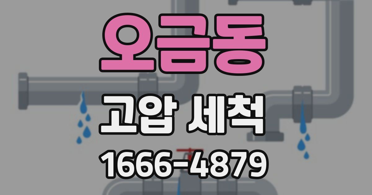 오금동 고압 세척