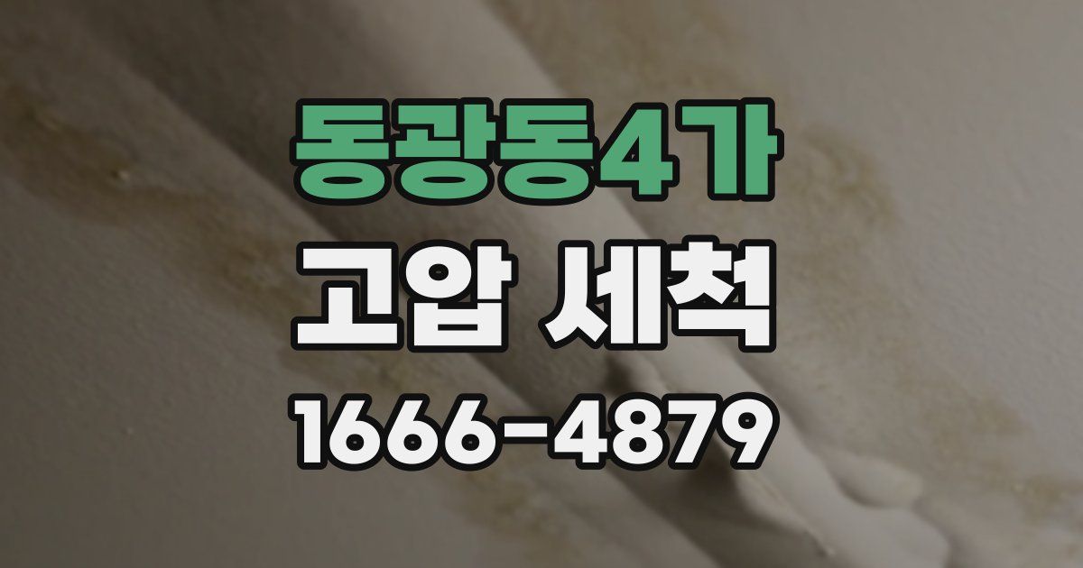 동광동4가 고압 세척