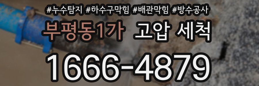 부평동1가 고압 세척