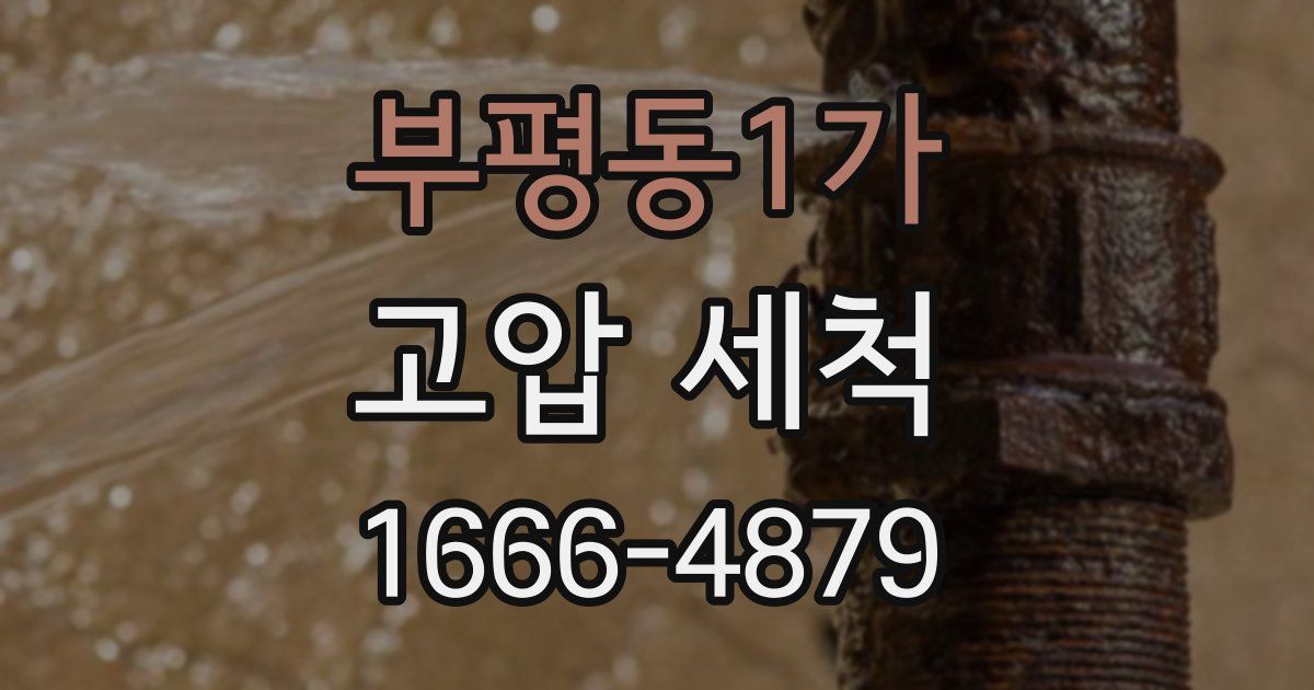 부평동1가 고압 세척