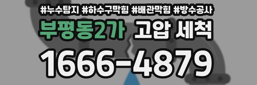 부평동2가 고압 세척